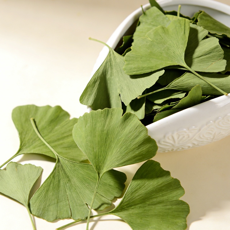 Quality Home Fragrance - Quality Ginkgo Biloba Dried Leaves For